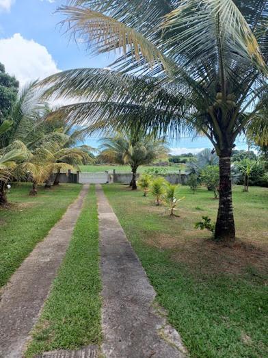Villa Ti Bijou Baie-Mahault Exterior foto